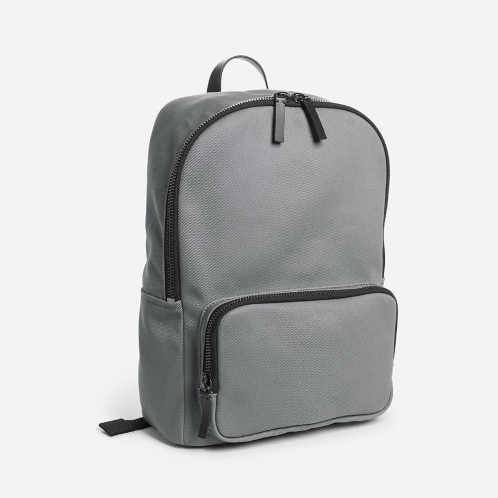Everlane Modern Zip mini backpack
